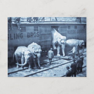 Circus Elephants Ringling Railroad Car Briefkaart