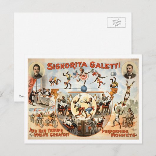  Circus Galetti en uitvoerende apen Briefkaart (Voorkant / Achterkant)