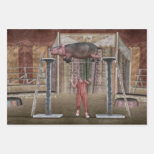 Circus Hippo Balancing Inpakpapier Vel (Voorkant 3)