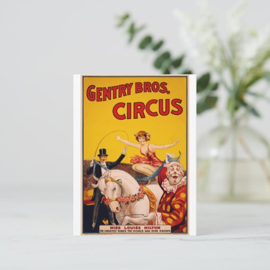 Circus Horse Briefkaart (Staand voorkant)