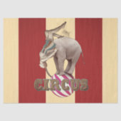 Circus Kermis Tissuepapier (Voorkant)