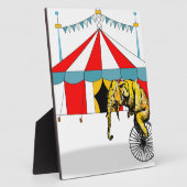 Circus memorabilia in herinnering brengen aan Circ Fotoplaat (Zijkant)