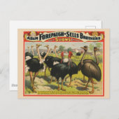 circus met struisvogels en grote vogels. briefkaart (Voorkant / Achterkant)