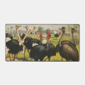 circus met struisvogels en grote vogels. bureaumat (Voorkant)