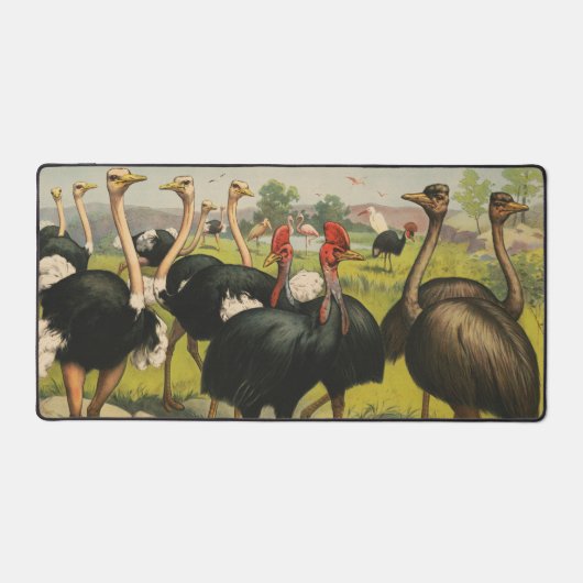 circus met struisvogels en grote vogels. bureaumat (Voorkant)