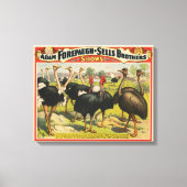 circus met struisvogels en grote vogels. canvas afdruk (Voorkant)