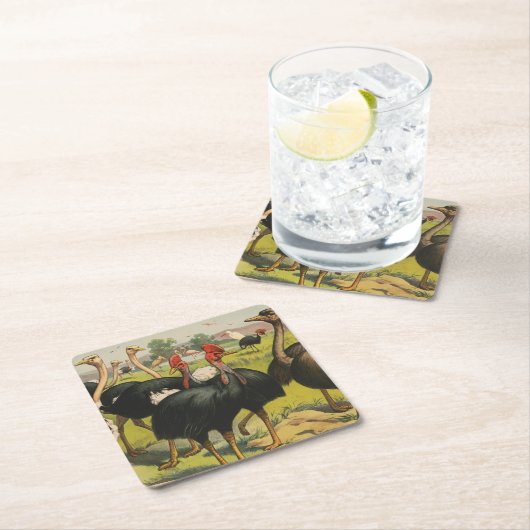  circus met struisvogels en grote vogels. kartonnen onderzetters (Insitu)