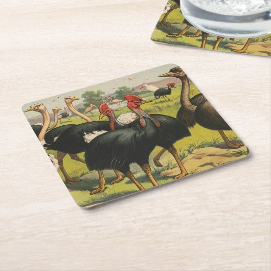  circus met struisvogels en grote vogels. kartonnen onderzetters (Schuin)