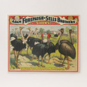  circus met struisvogels en grote vogels. legpuzzel (Horizontaal)