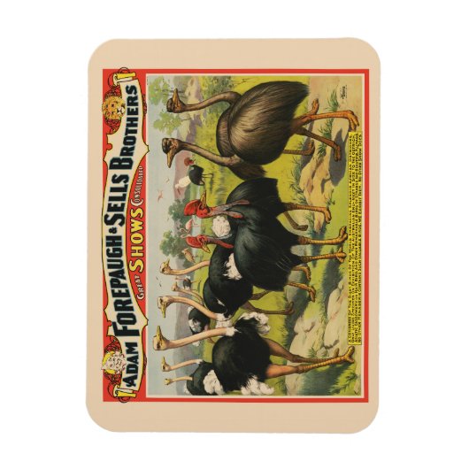  circus met struisvogels en grote vogels. magneet (Verticaal)
