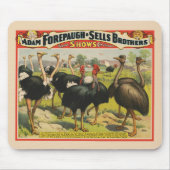 circus met struisvogels en grote vogels. muismat (Voorkant)