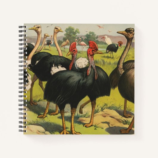 circus met struisvogels en grote vogels. notitieboek (Voorkant)