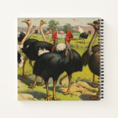 circus met struisvogels en grote vogels. notitieboek (Achterkant)
