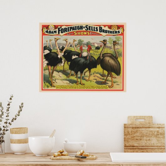  circus met struisvogels en grote vogels. poster (Keuken)
