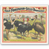  circus met struisvogels en grote vogels. sticker (Voorkant)