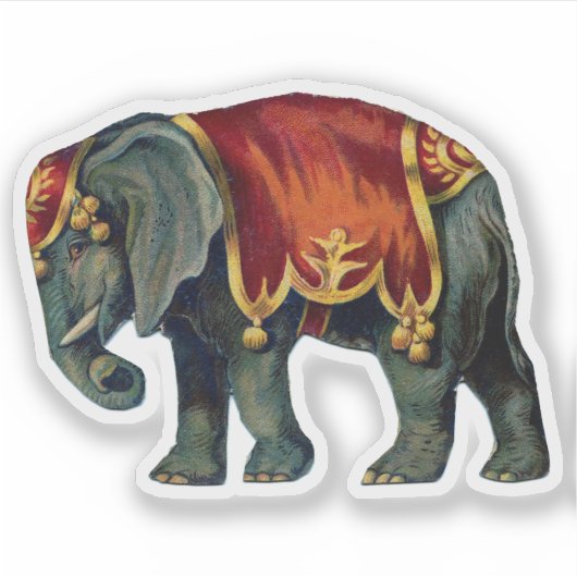  Circus Olifant Sticker (Voorkant)