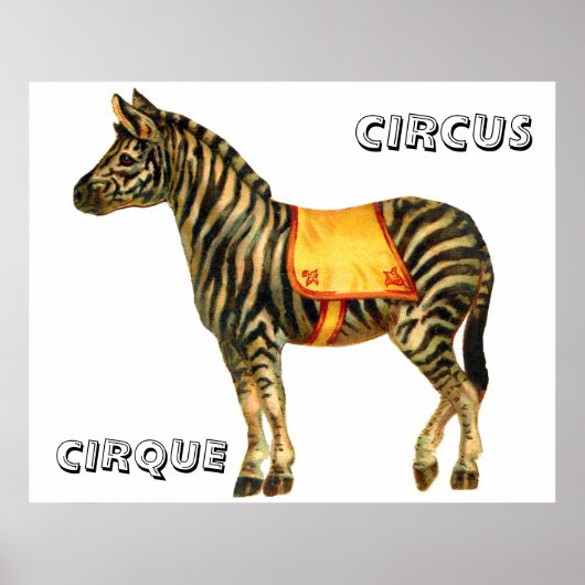  circus optredend zebra poster (Voorkant)