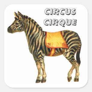 circus optredend zebra vierkante sticker