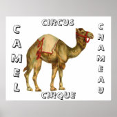  circus optredende kameel poster (Voorkant)