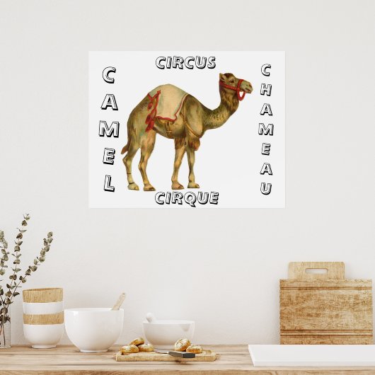  circus optredende kameel poster (Keuken)