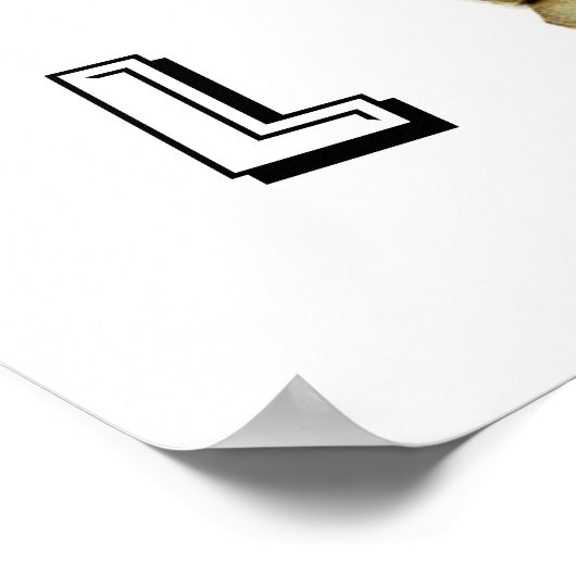  circus optredende kameel poster (Hoek)