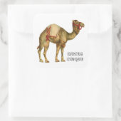  circus optredende kameel vierkante sticker (Tas)
