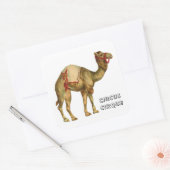  circus optredende kameel vierkante sticker (Envelop)
