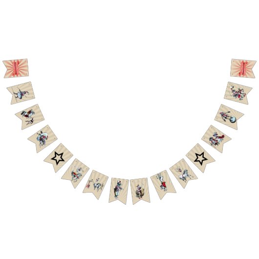  Circus Party Banner (Alle)