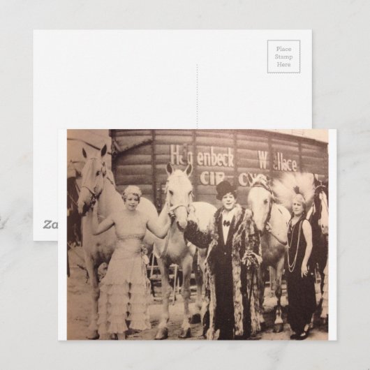 Circus Performance and White Horses Briefkaart (Voorkant / Achterkant)