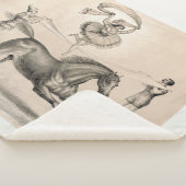 Circus performer springen over een groot lint sherpa deken (3/4)