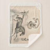 Circus performer springen over een groot lint sherpa deken (Voorkant)