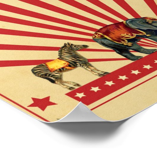  Circus Poster (Hoek)