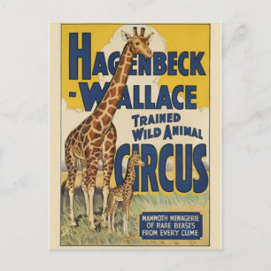 Circus Poster Briefkaart