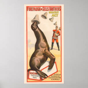 Circus Poster toont een Zee leeuw vangen Petten