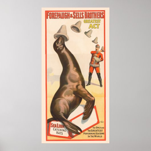 Circus Poster toont een Zee leeuw vangen Petten (Voorkant)