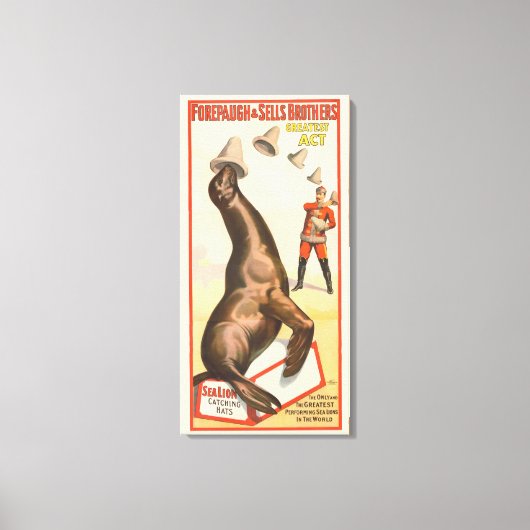 Circus Poster toont een Zee leeuw vangen Petten Canvas Afdruk (Voorkant)