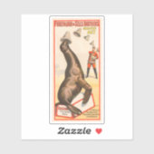 Circus Poster toont een Zee leeuw vangen Petten Sticker (Vel)