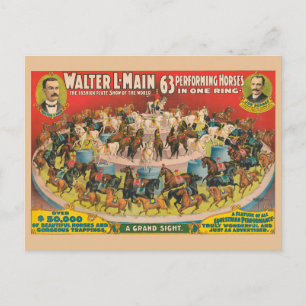 Circus Poster van 63 optredende paarden in één rin Briefkaart