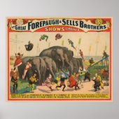 Circus Poster van acrobaten springen over olifante (Voorkant)