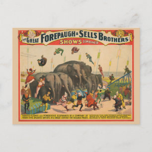 Circus Poster van acrobaten springen over olifante Briefkaart