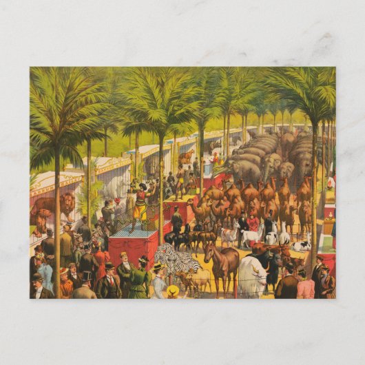  circus Poster van dieren en performers Briefkaart (Voorkant)