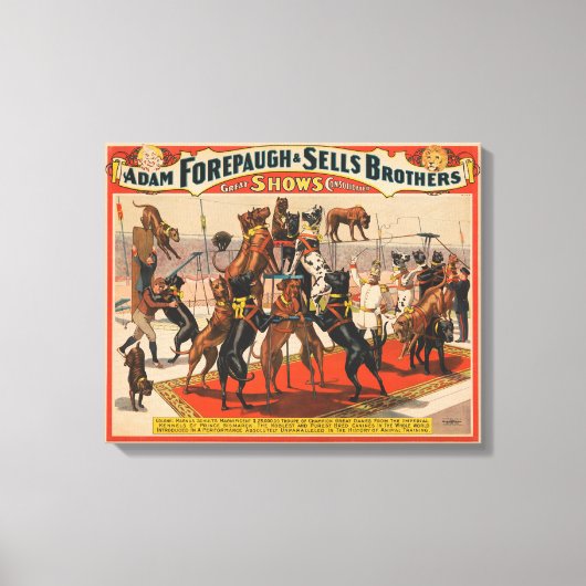 Circus Poster van grote Denen met trainer Canvas Afdruk (Voorkant)