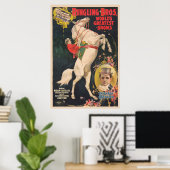 Circus Poster van mevrouw Ada Castello op een paar (Thuiskantoor)