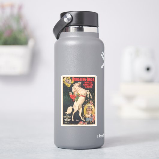 Circus Poster van mevrouw Ada Castello op een paar Sticker (HydroFlask)