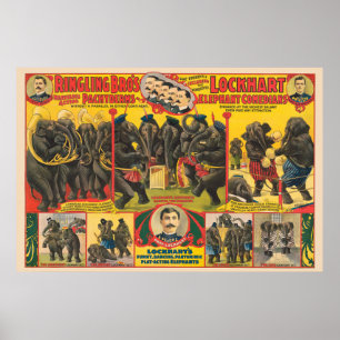 Circus Poster van olifanten optreden