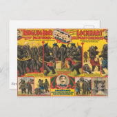Circus Poster van olifanten optreden Briefkaart (Voorkant / Achterkant)