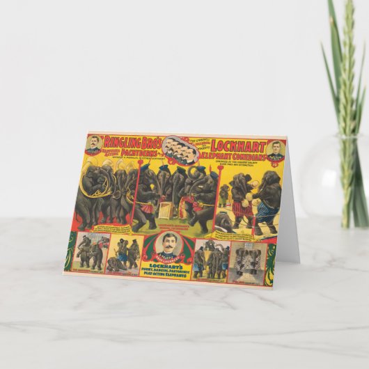 Circus Poster van olifanten optreden Kaart (Voorkant)