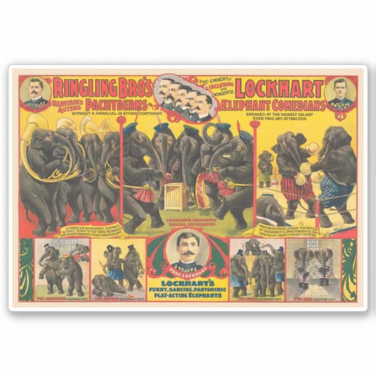 Circus Poster van olifanten optreden Sticker (Voorkant)