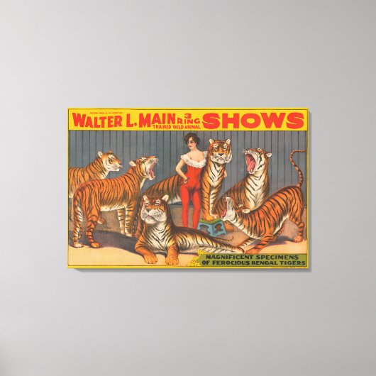 circus Poster van vrouw met zes tijgers. Canvas Afdruk (Voorkant)