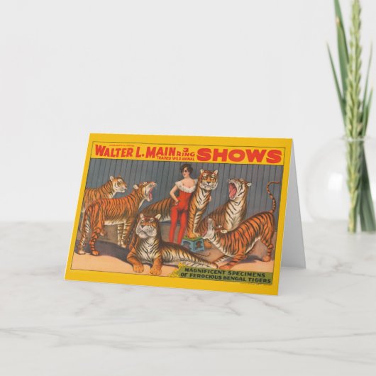  circus Poster van vrouw met zes tijgers. Kaart (Voorkant)